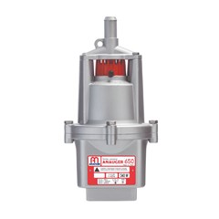 BOMBA ANAUGER 650 (220V/60HZ)