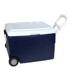 CAIXA TERMICA GLACIAL 70L MOR AZUL